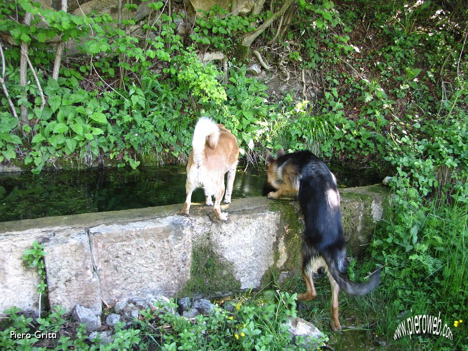 06 Fontana... per Lubj e Lola.jpg